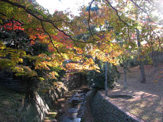 b0080027_15333492.jpg