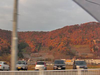 b0041532_1731476.jpg