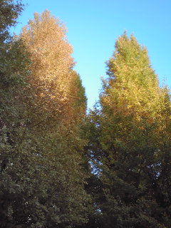 e0081334_2275073.jpg