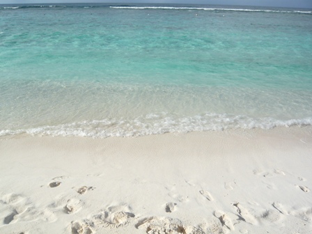 f0192348_23421772.jpg