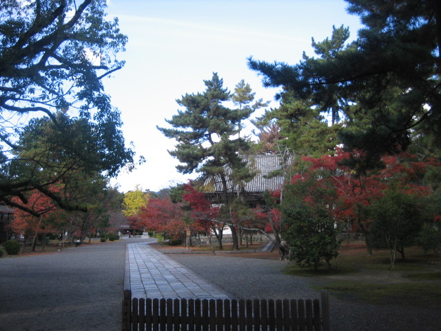 f0181251_2227392.jpg