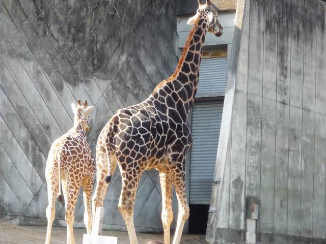 c0085657_20182279.jpg