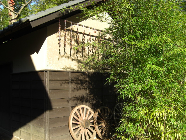 c0169360_17392424.jpg