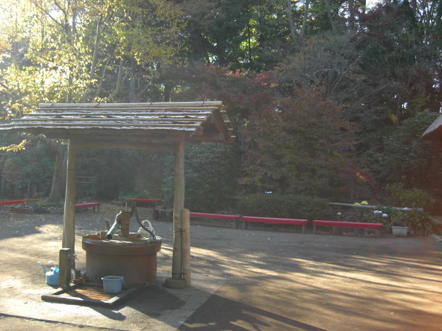 c0169360_17394599.jpg