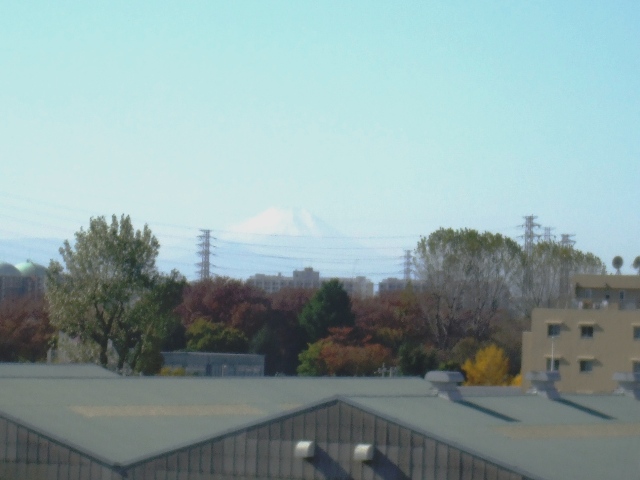 f0131165_22521042.jpg