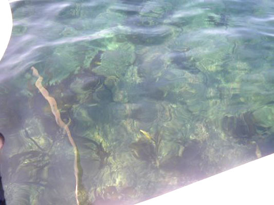 e0052268_14135842.jpg
