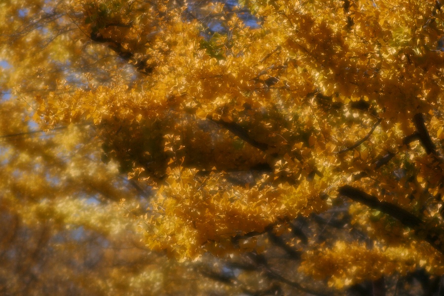 b0084270_2118515.jpg