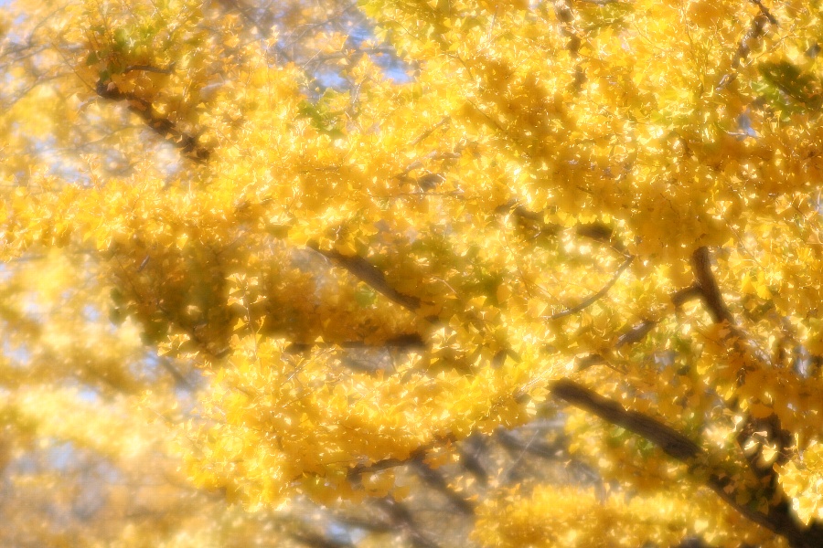 b0084270_2120767.jpg