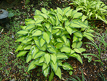 c0052470_14185798.jpg