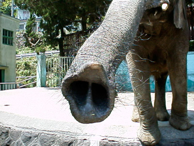 e0088570_20105812.jpg