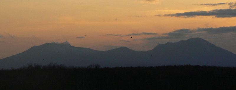 b0068572_23502182.jpg