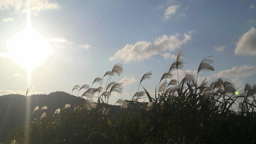 f0138073_1831260.jpg