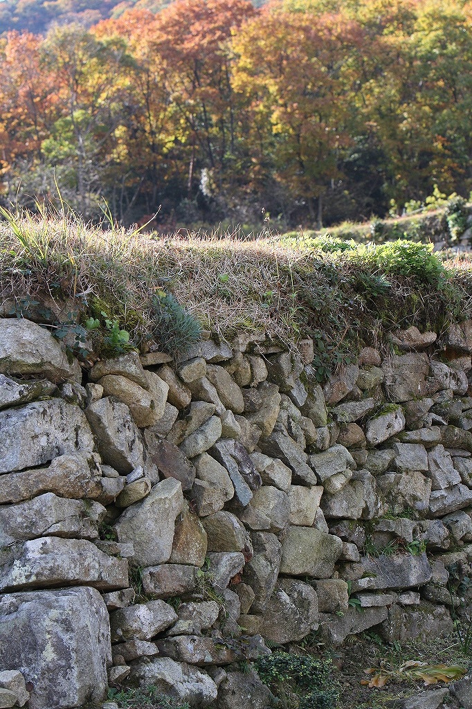 e0024081_15192728.jpg
