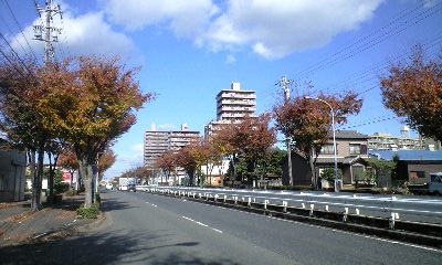 f0149982_2250156.jpg