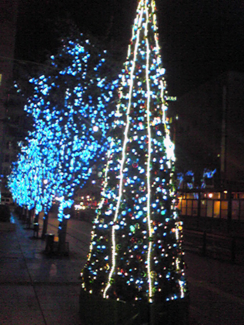 c0125283_1714028.jpg