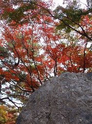 c0105785_19311554.jpg