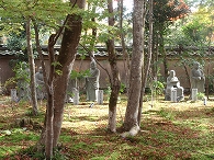 c0105785_19372616.jpg
