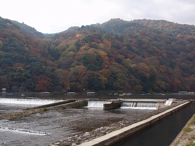 c0105785_19432618.jpg