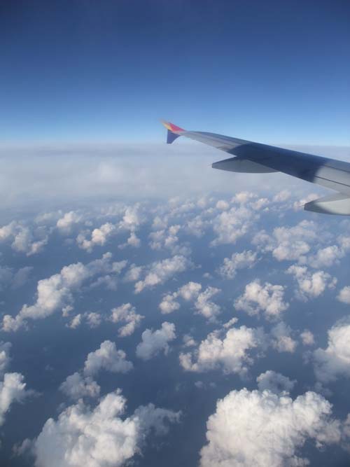 b0052286_2051217.jpg
