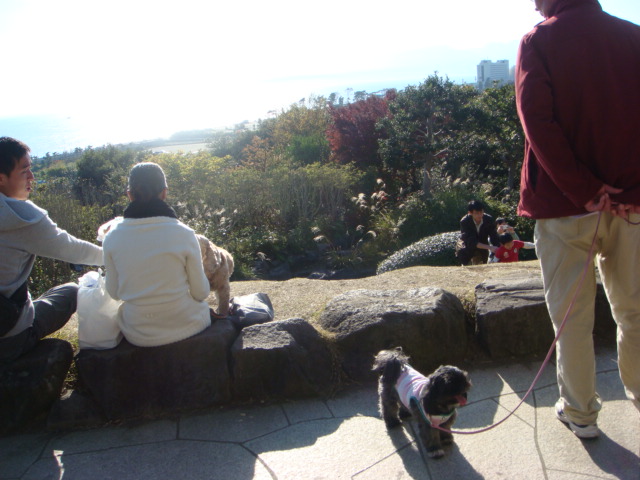 f0137694_20341221.jpg