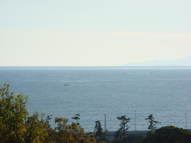 f0137694_20345818.jpg