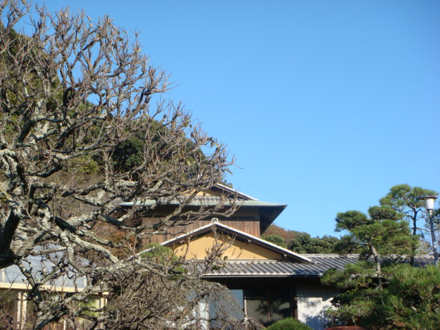 f0137694_20355098.jpg