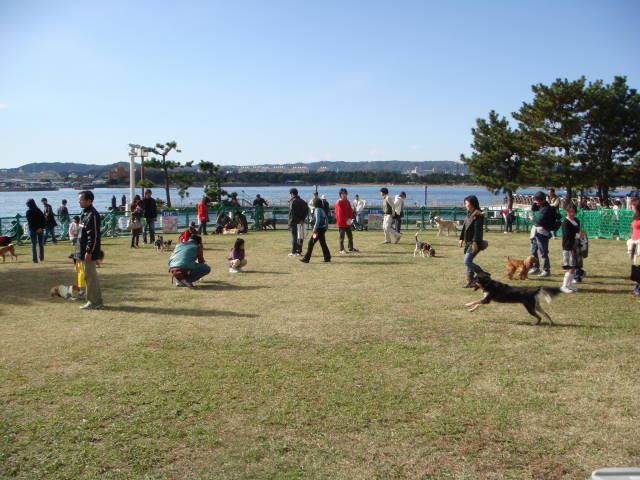 d0098295_18155342.jpg