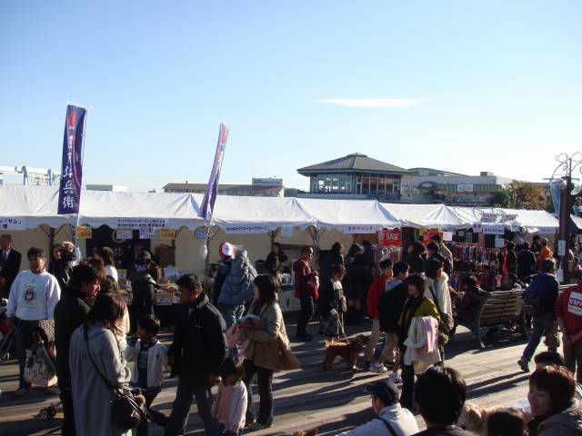 d0098295_18272430.jpg