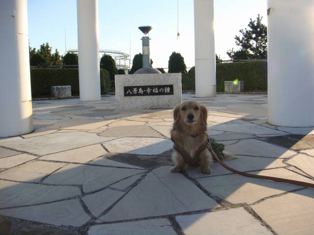 d0098295_1838682.jpg