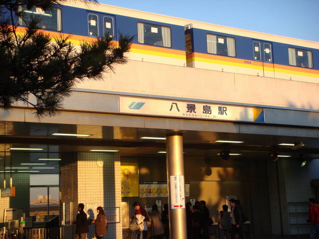 d0098295_1863398.jpg