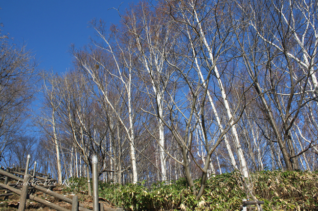 f0001895_14282758.jpg