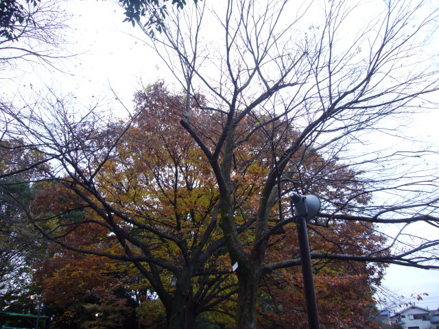 b0114403_12192743.jpg