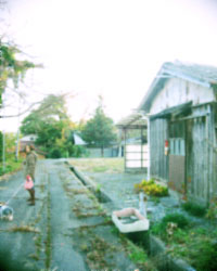 d0077603_2132382.jpg