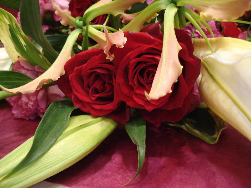 f0084806_7162159.jpg