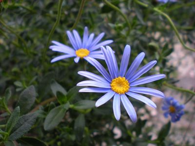 b0061107_20453443.jpg