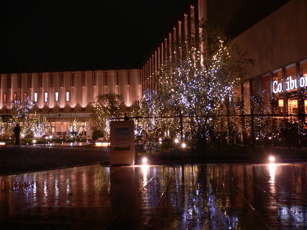 a0105809_9493135.jpg