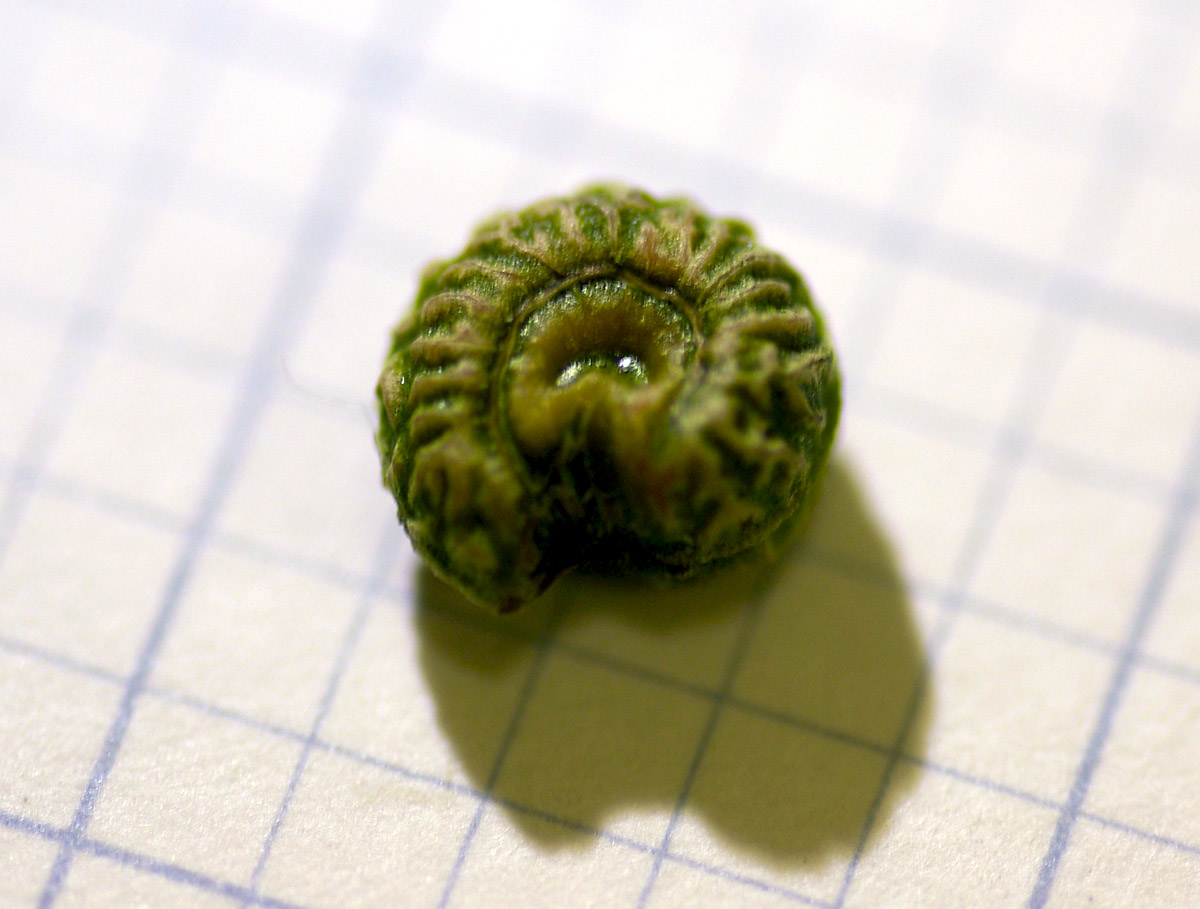 e0142611_14485450.jpg