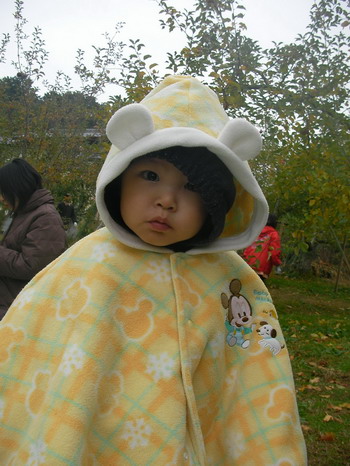 d0004617_18112662.jpg