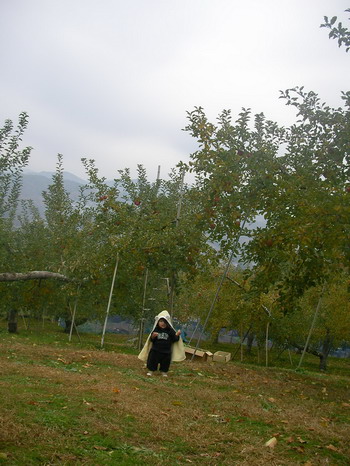 d0004617_18135548.jpg