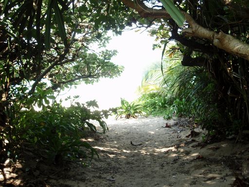 e0086522_1005583.jpg