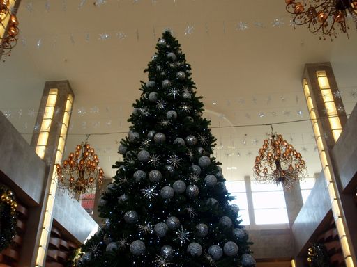 e0086522_22384544.jpg