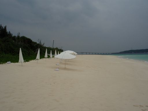 e0086522_22553618.jpg