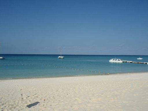 e0086522_9394676.jpg