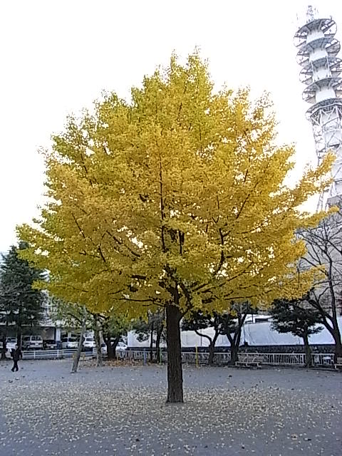 e0130722_16113986.jpg