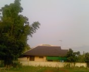 f0146828_2465848.jpg