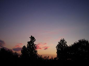b0074430_19474388.jpg