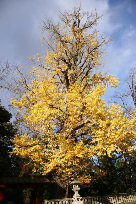 f0017530_1941286.jpg