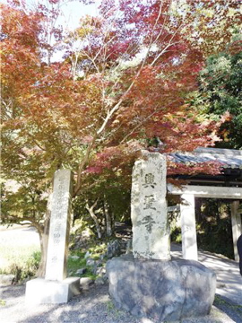 c0118237_4374338.jpg