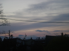 c0153444_9453896.jpg