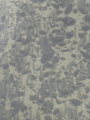 d0083145_21315898.jpg